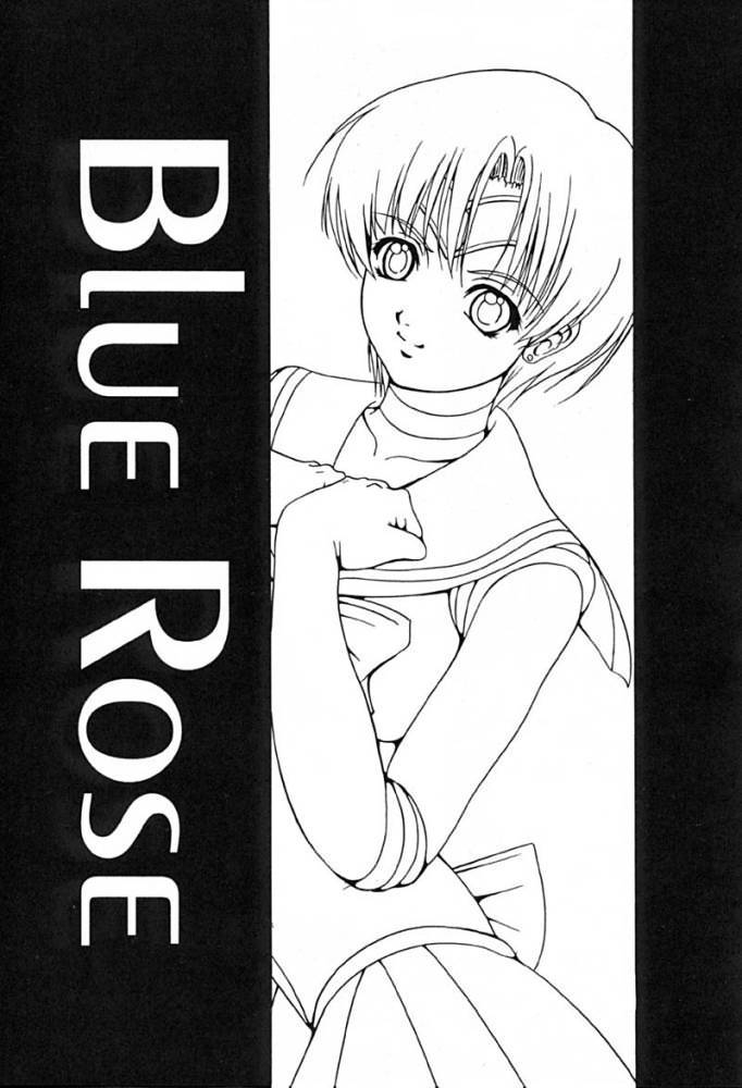(C61) [菊花酒楼 (菊水)] Blue Rose (美少女戦士セーラームーン) - Hentaiaz.com - 2