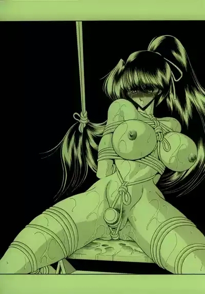 Nijuuyon no Hitomi Joukan 3