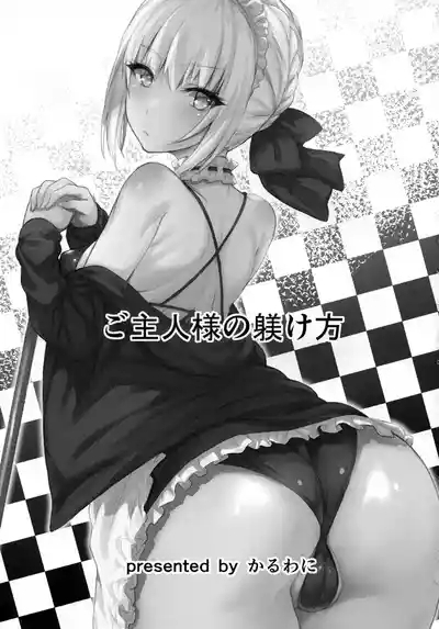 Goshujin-sama no Shitsukekata 2