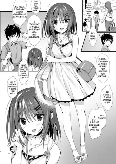 Watashi wa Onii-chan to Tsukiaitai. 3