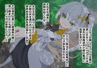 エルフ王女を捕らえて下品乳の娼婦に調教 2