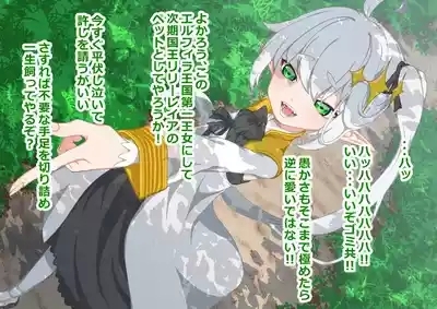 エルフ王女を捕らえて下品乳の娼婦に調教 5