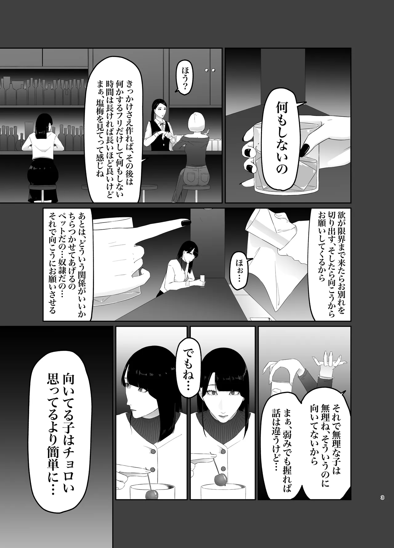 Shinjin JoshiAnno Songen Hakai Les Dorei Choukyou - Page 3