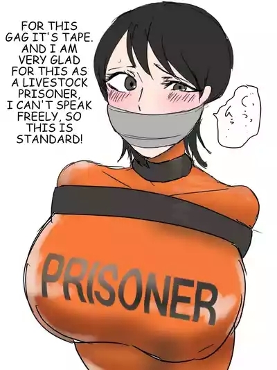 Prisoner's File 7