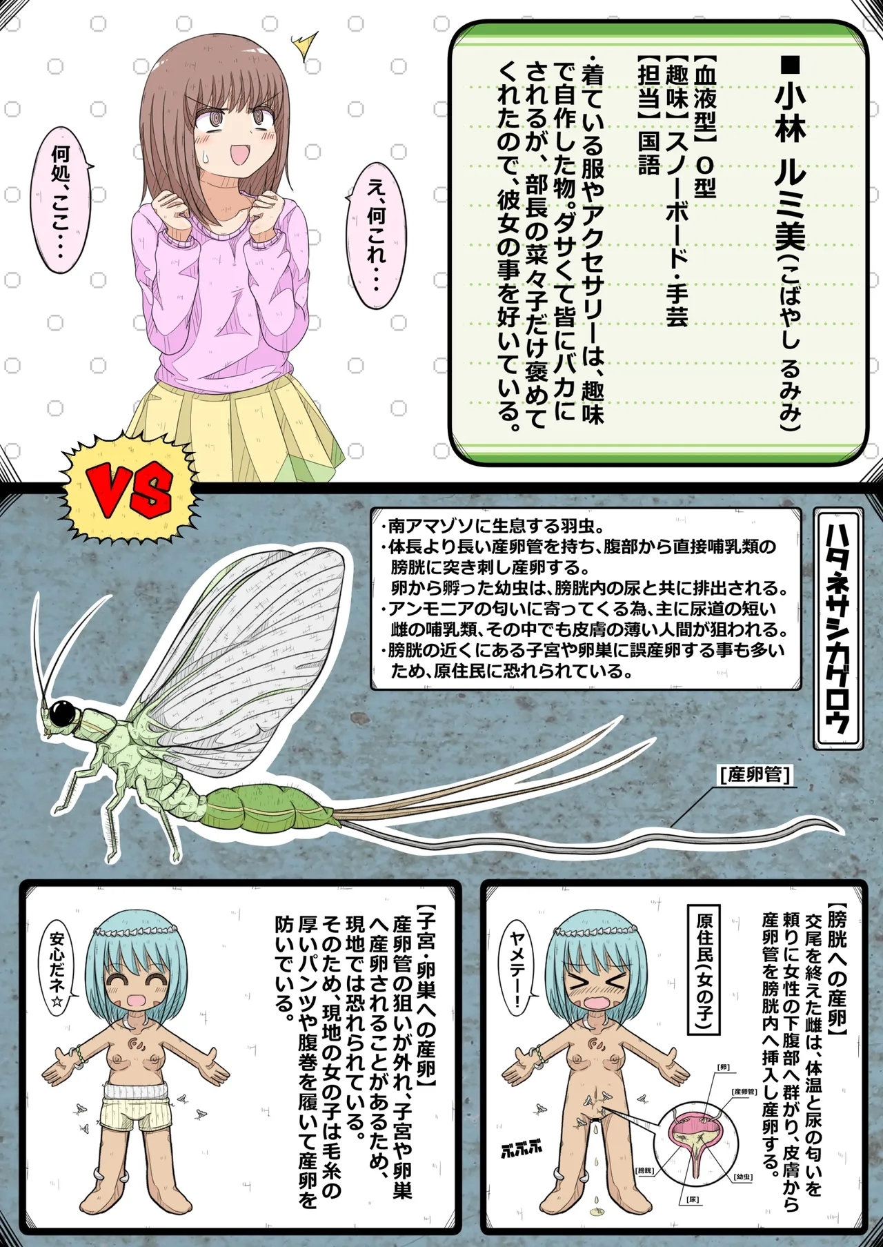 ransou kairaku kenkyuubu～ komon no ransou wo syouakuseyo！ no maki～ - Page 6