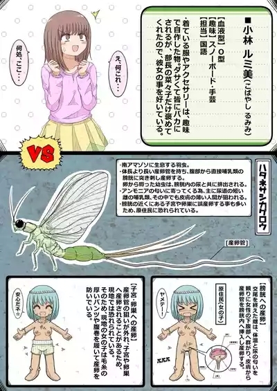 ransou kairaku kenkyuubu~ komon no ransou wo syouakuseyo! no maki~ 6