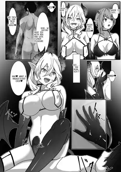 The Day I Became a Succubus - The Incubus Reincarnation Contract 9