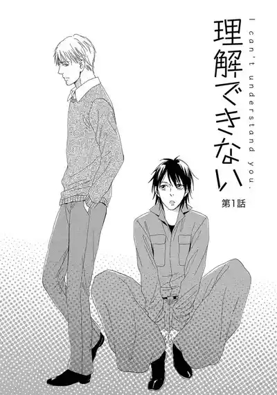 Rikai Dekinai 8
