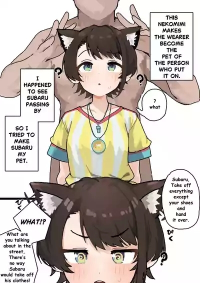 meowmeow Pet's baru 2