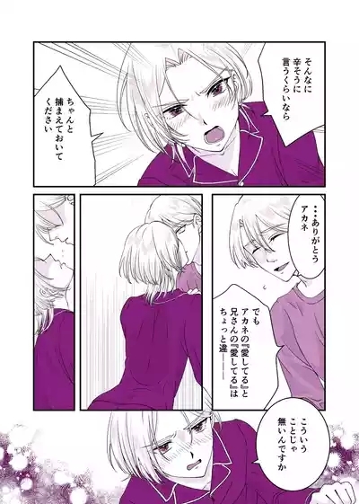 Usotsuki de Okubyou de Kanpeki na Ani 4