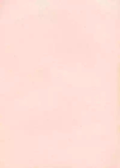 The Story of the Conquest of the Country - Part 1 2