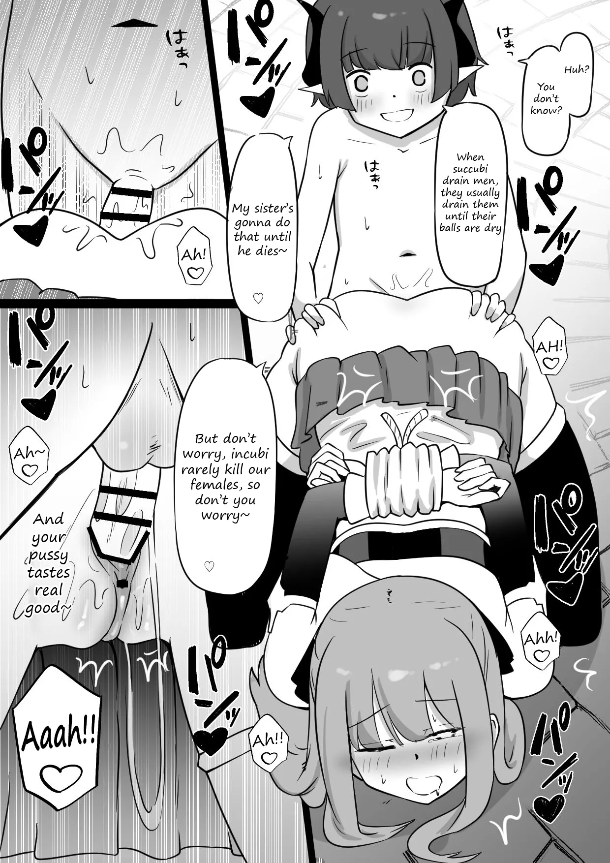 A story about an Oneechan being made into a succubus' pet - Page 13