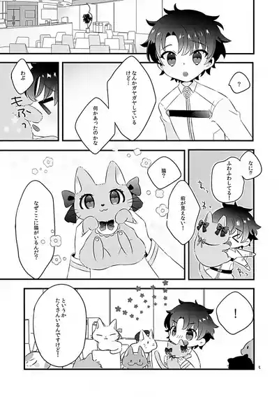 Pokapoka Meow Therapy 5