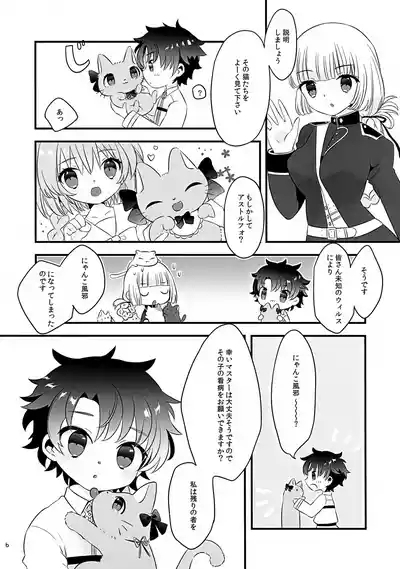 Pokapoka Meow Therapy 6