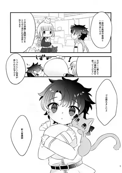 Pokapoka Meow Therapy 7