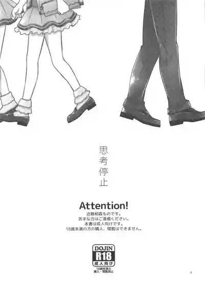 Shikou Teishi 2