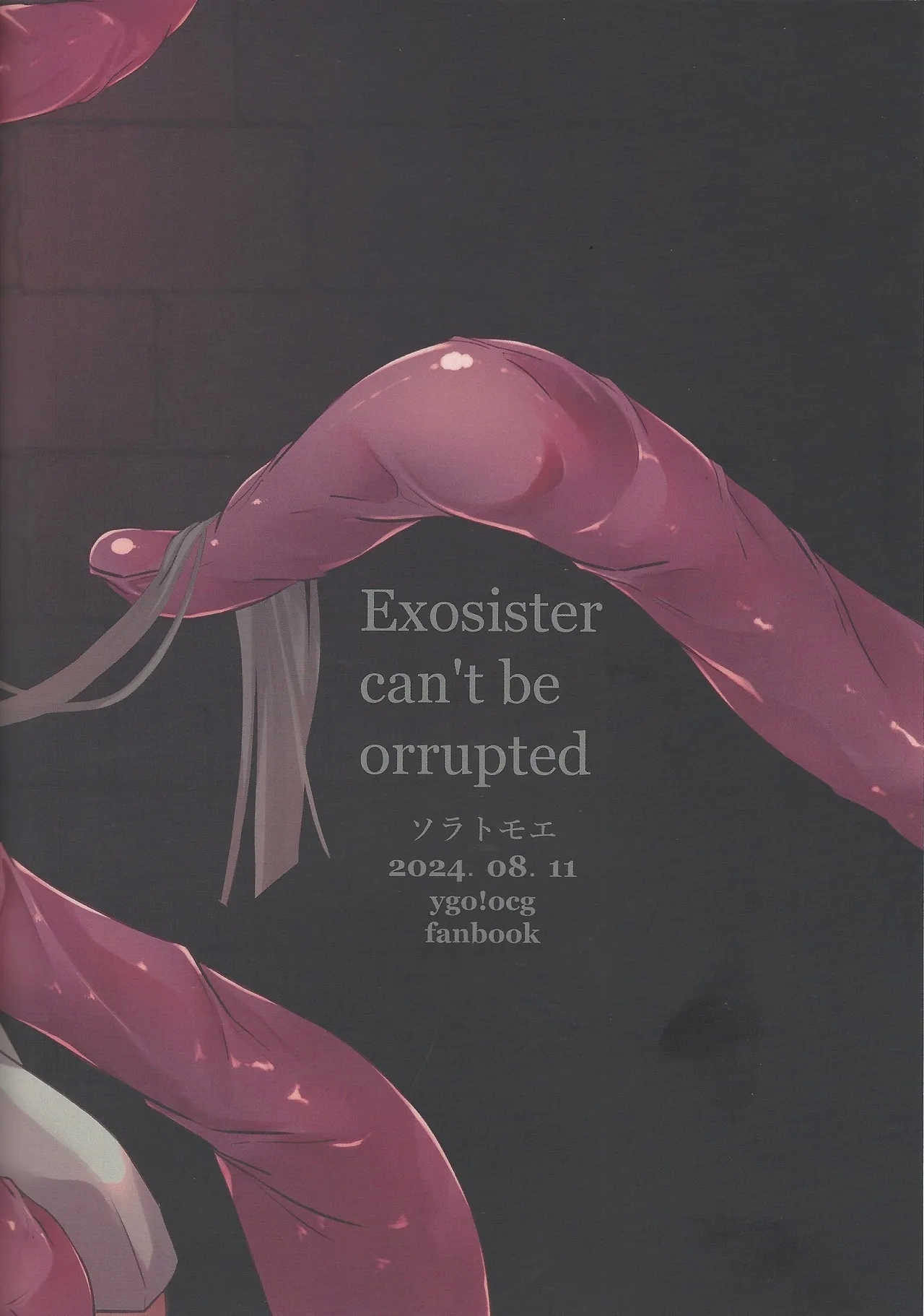 Exosisters wa Otosenai - Page 30