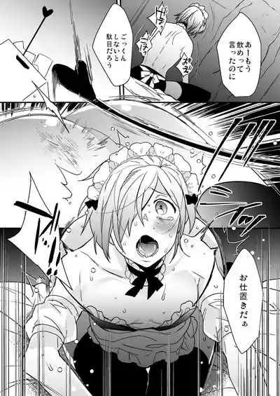 Dokidoki Mesu Ochi Go Houshi Seikatsu Soushuuhen 9