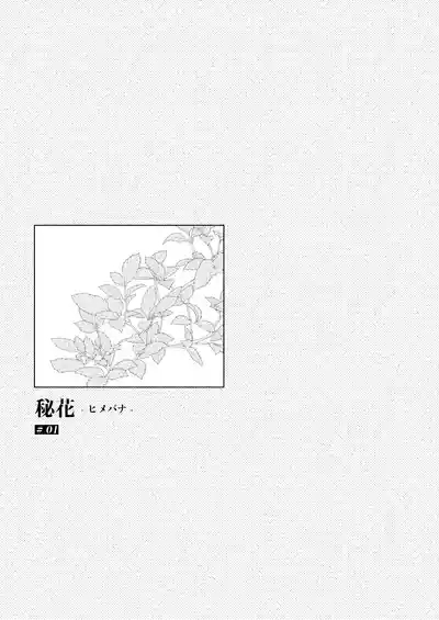 Himebana | 秘花 1+2 2