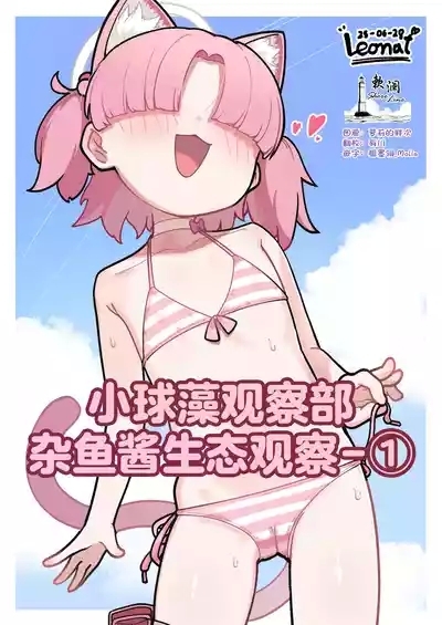 小球藻观察部杂鱼酱生态观察-① 1