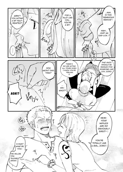 【R18】ZoroNami 10