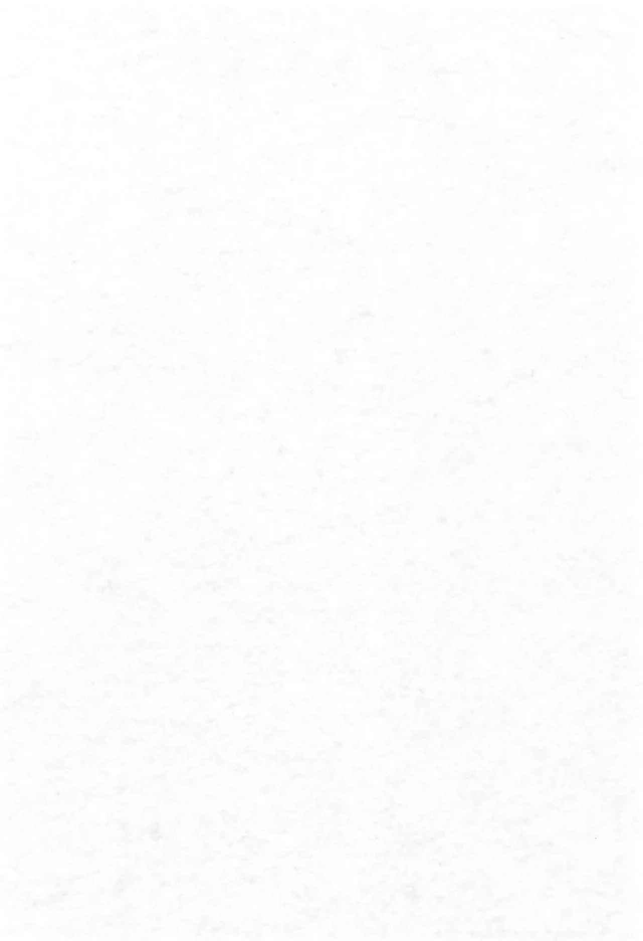 Aniero Mix. 008 - Page 3