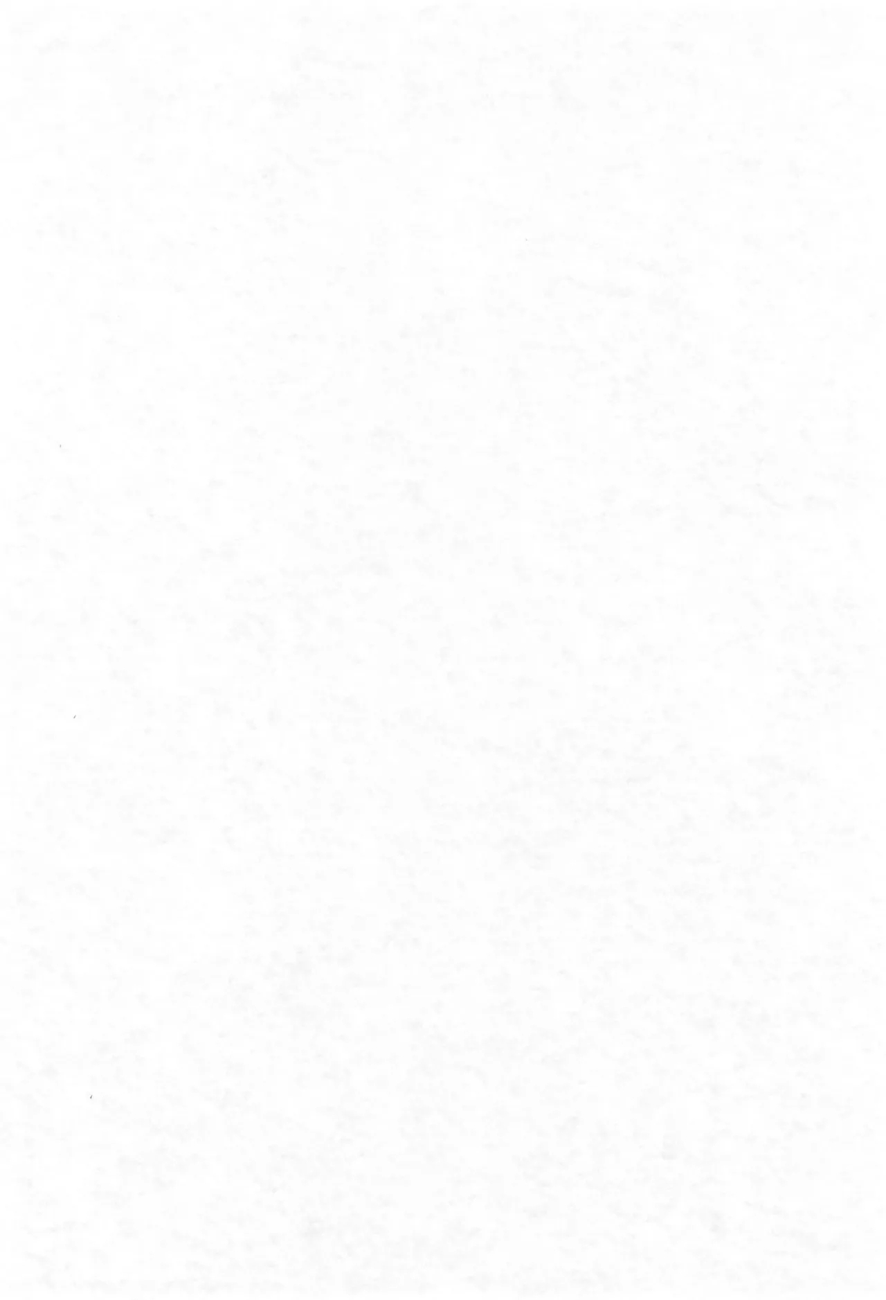 Aniero Mix. 008 - Page 4