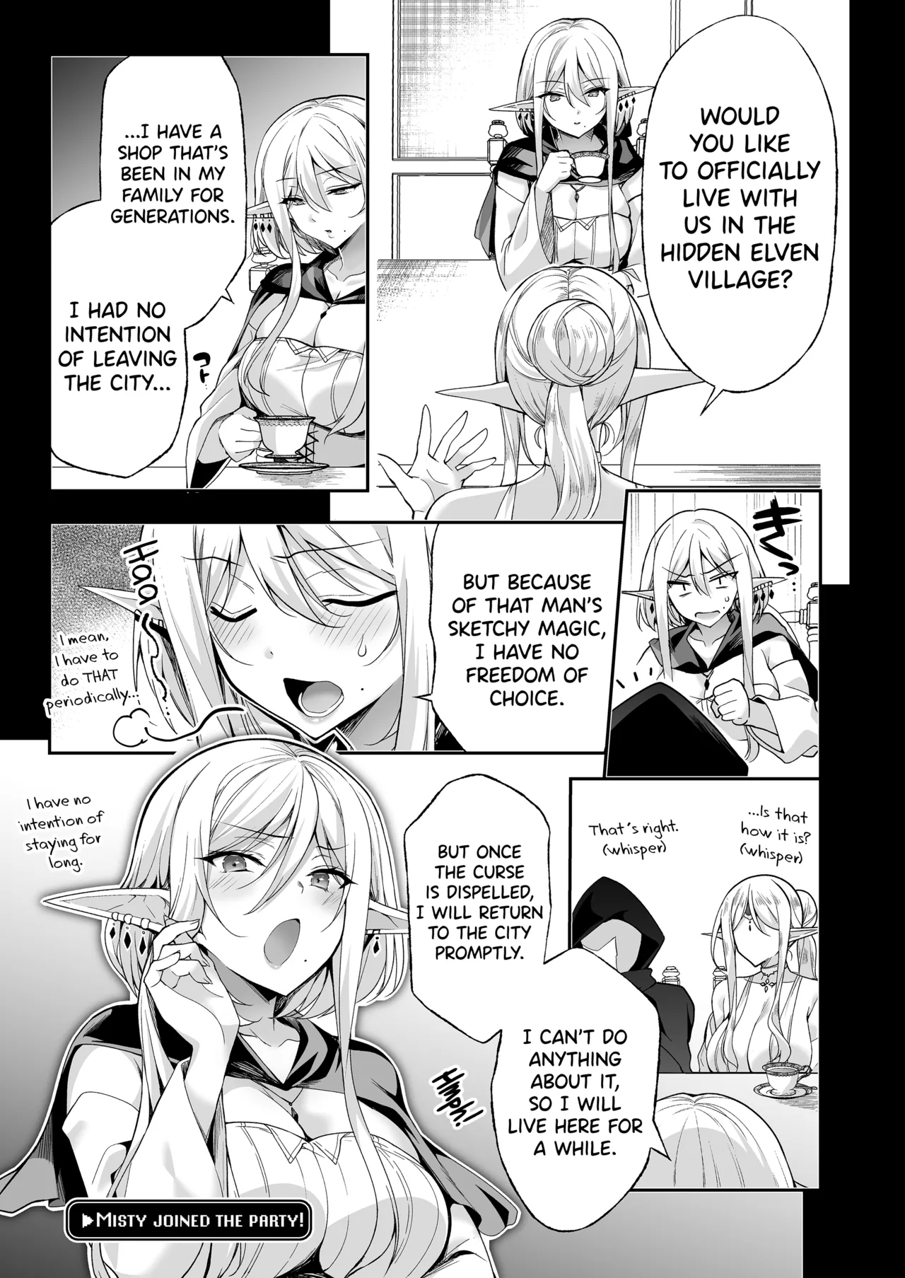 Elf ni Inmon o Tsukeru Hon LEVEL:8 - Page 17