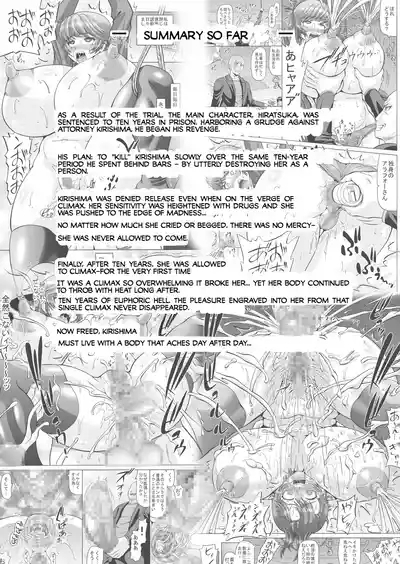 Kizamareta Anraku Juunen no Kage Onna Bengoshi Series 2 2