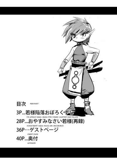 Wakasama Kanraku Oboro Kuzushi 4