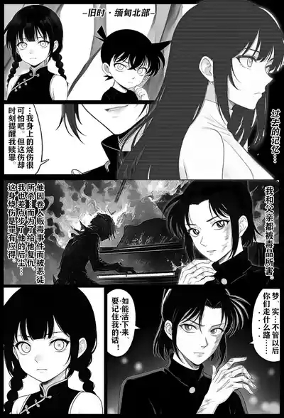 月影岛的亡魂⑤穴位（detective conan） 6