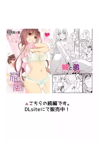 Hana ni Arashi 2 + Orihon 2