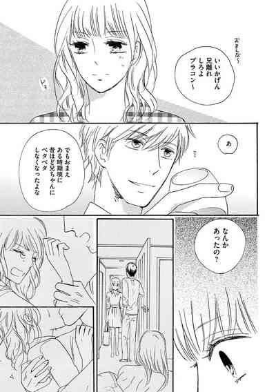Ani no Koibito 8