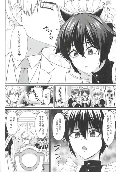 Nekomimi Shounen Maid no Ai suru Himegoto 3