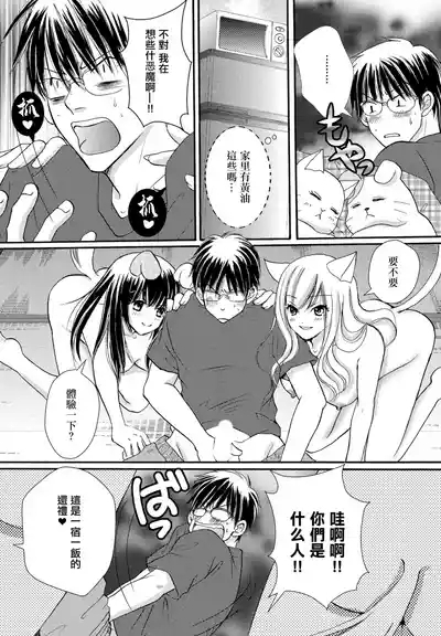 "Mate" wa Dekinai! 5