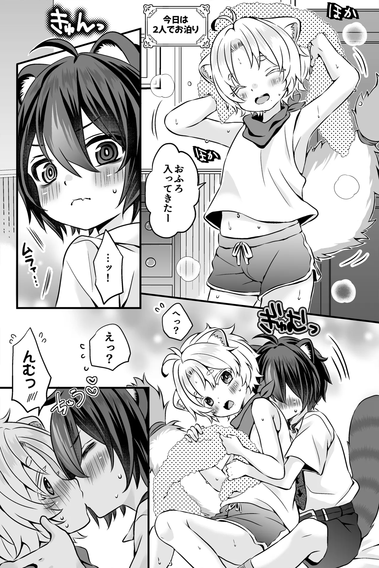Araiguma to Ferret no Otokonoko-tachi no Manga 1