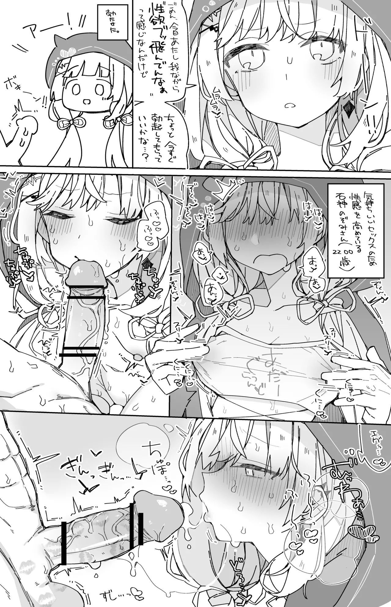 isgm nzm 1