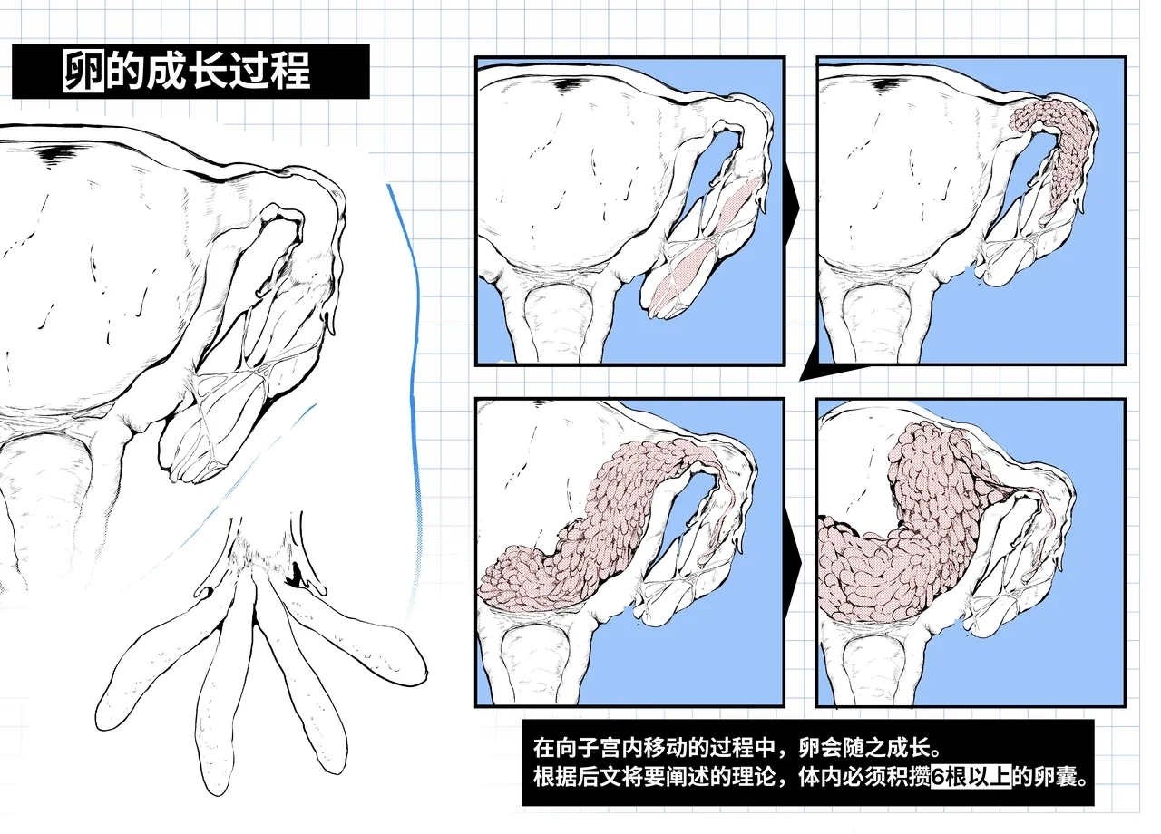 短篇：海藤花的芬芳～绮良～ & 头足种族的子宫结构解析 - Page 11