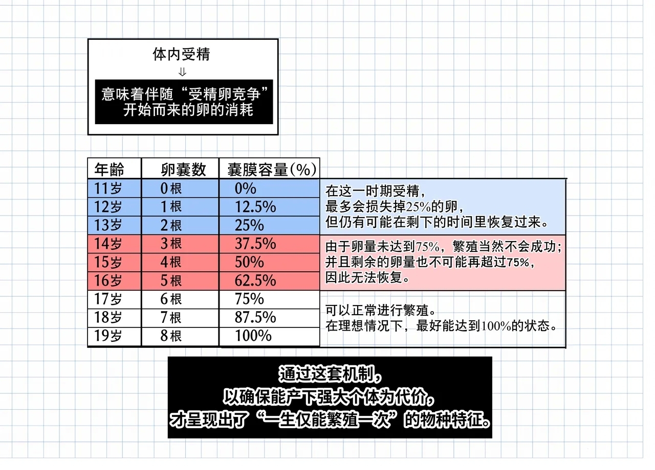 短篇：海藤花的芬芳～绮良～ & 头足种族的子宫结构解析 - Page 14