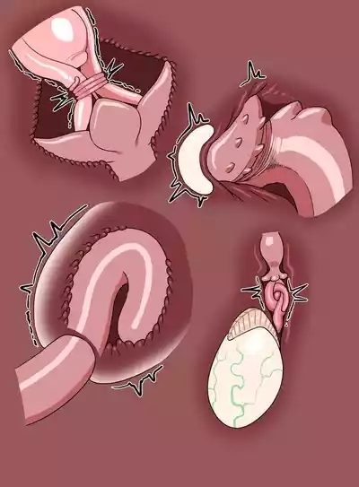 LIVI x TENTACLES 7