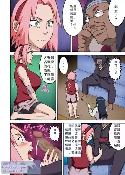 SakuHina Inninden全綵重製版（火影忍者） 5