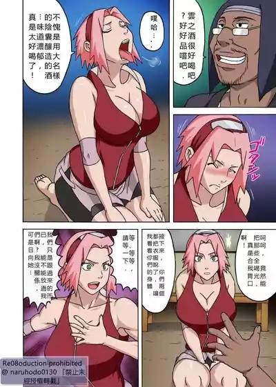 SakuHina Inninden全綵重製版（火影忍者） 9