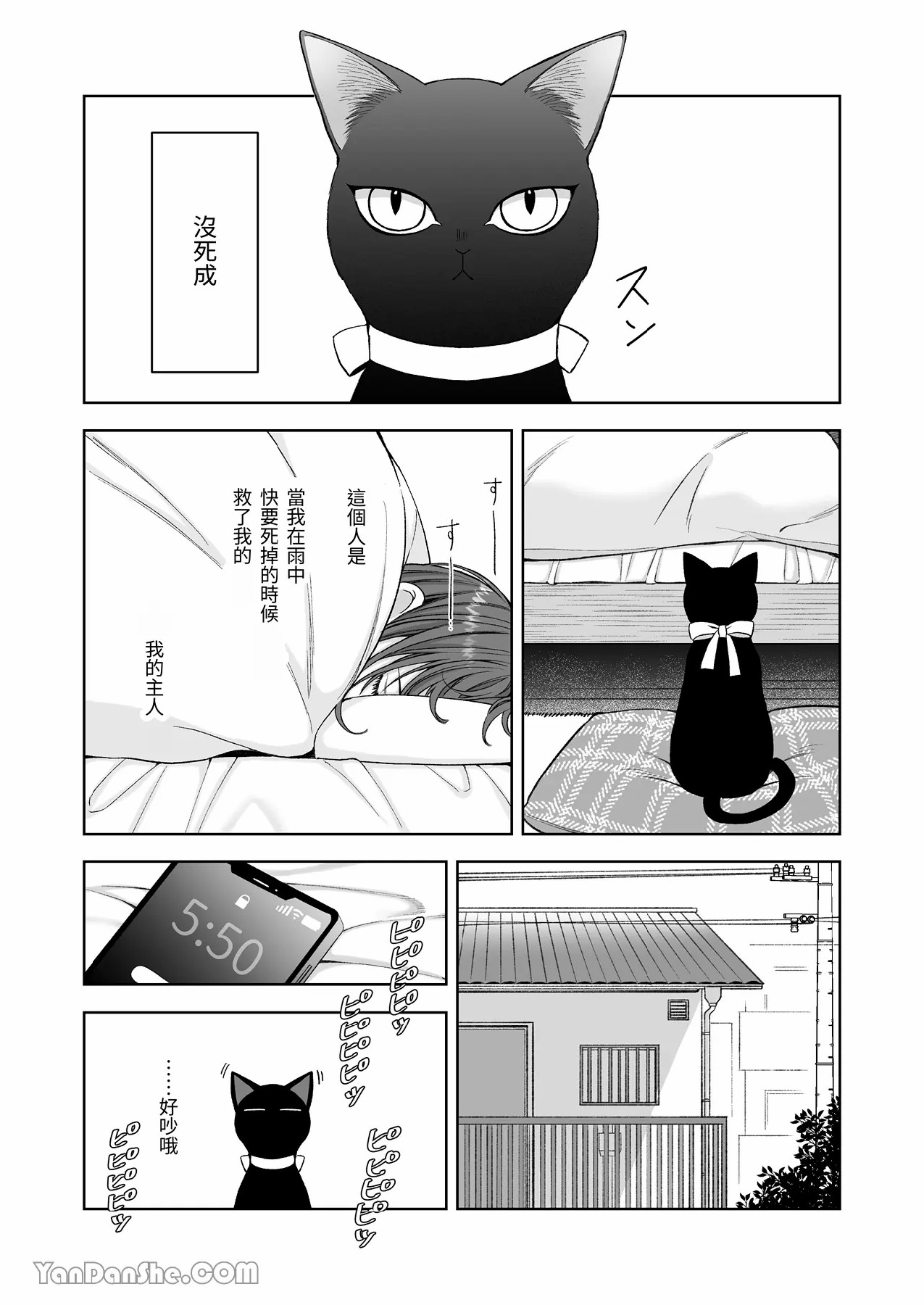 【丹下】黑貓小黑的報恩既笨拙又放肆 - Page 6