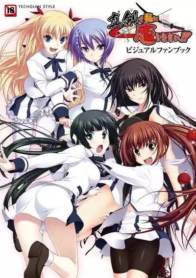 Maji de Watashi ni Koi Shinasai Visual Fan Book 1