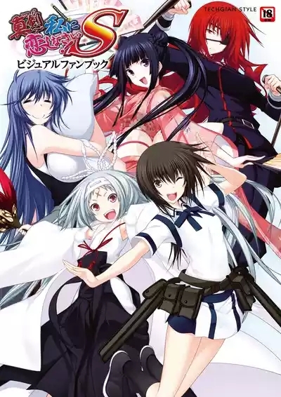 Maji de Watashi ni Koi Shinasai! S Visual Fan Book 1