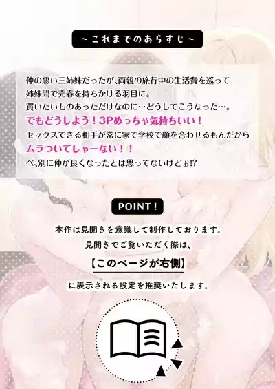 Kateinai Baishun 3 2