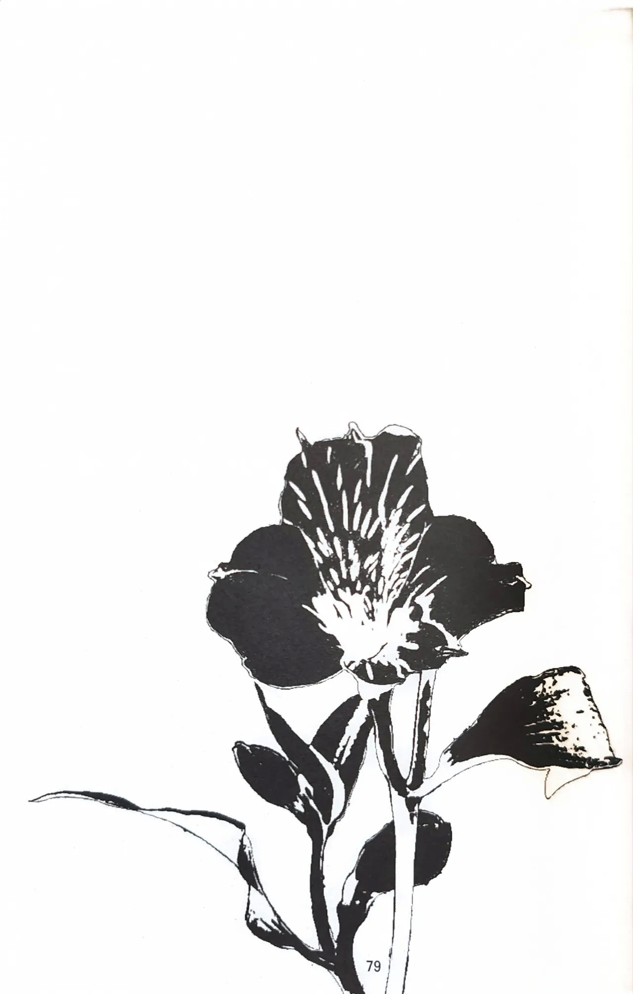 First Contact - Page 34