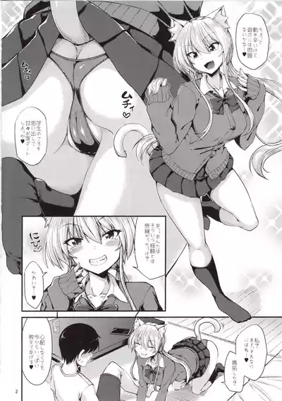 Nekomimi Onee-san to Seifuku Cos de Nyannyan 3