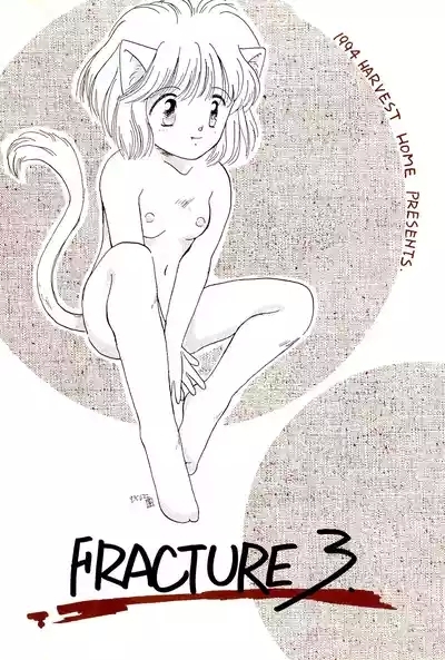 FRACTURE 3 5