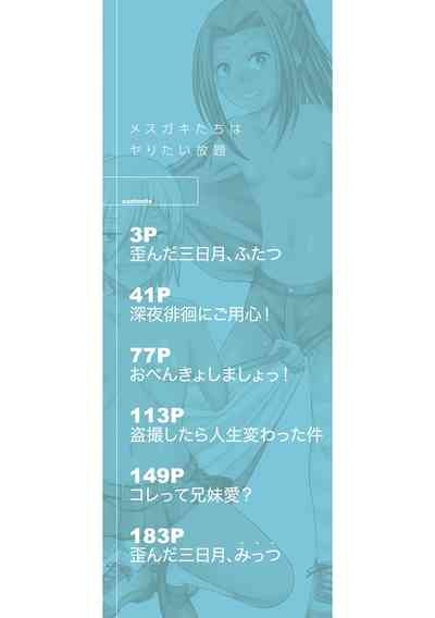 Mesugaki-tachi wa Yaritai Houdai 3